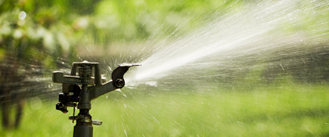 proteatuine Irrigation systems, installation and maintenance