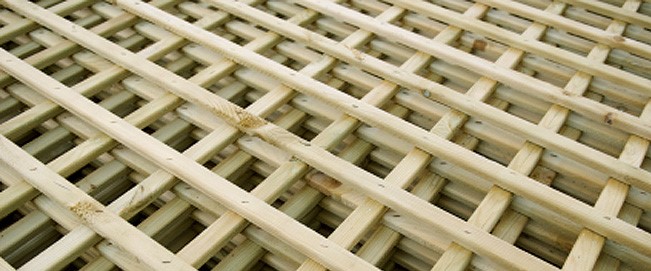 proteatuine Trelises installation and maintenance